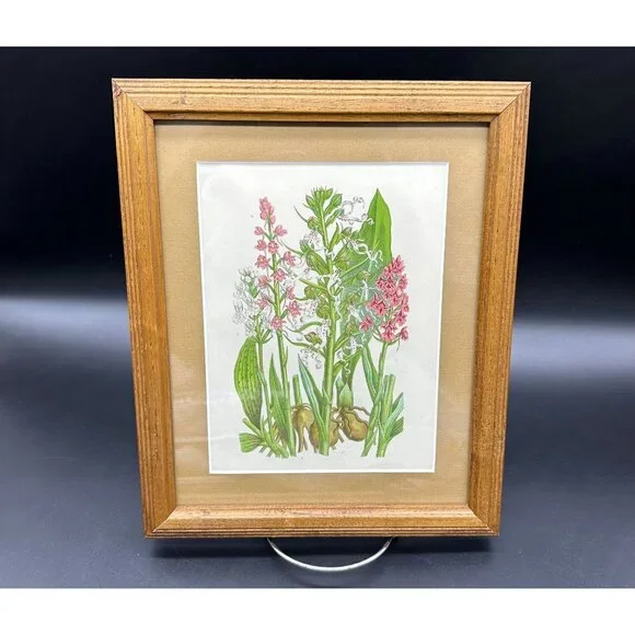 Vintage Botanical Art Print Pink Flower Wood Frame Anne Pratt 1855 Floral Matted - Picture 1 of 8